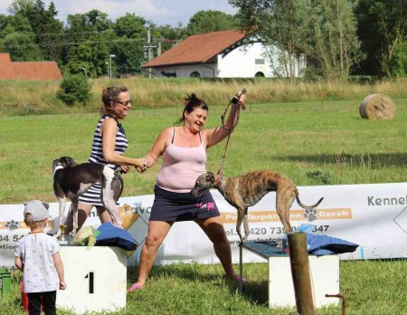 Lednický zajíc (26.6.2016, Lednice) 